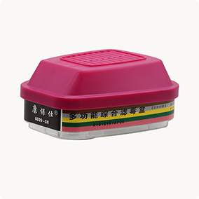 6009-CN�๦���ۺ��˶���